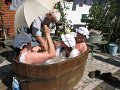 IMG_2604