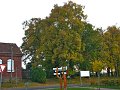IMG_5534