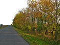 IMG_5539