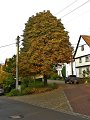 IMG_5541