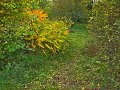 IMG_5542