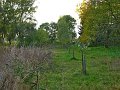 IMG_5545