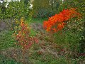 IMG_5547