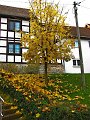 IMG_5548