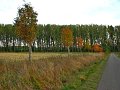 IMG_5549