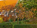 IMG_5553