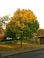 IMG_5555