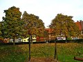 IMG_5557