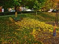 IMG_5559