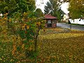 IMG_5560