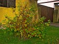 IMG_5562