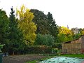 IMG_5563