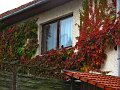 IMG_5564