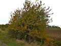 IMG_5566