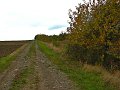 IMG_5567