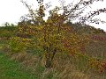 IMG_5569