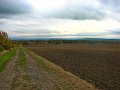 IMG_5570