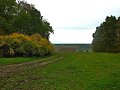 IMG_5571