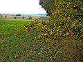 IMG_5575