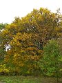 IMG_5587