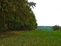 IMG_5588