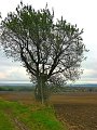 IMG_5592