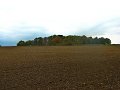 IMG_5593