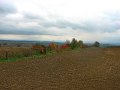 IMG_5597