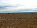 IMG_5599