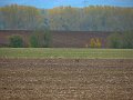 IMG_5602