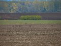 IMG_5603