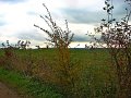 IMG_5605