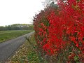 IMG_5611