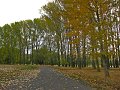 IMG_5612