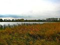 IMG_5615