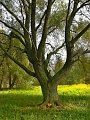 IMG_5616