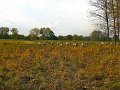 IMG_5617