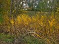 IMG_5634