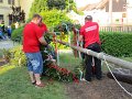 IMG_0350