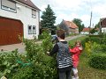 SAM_1917