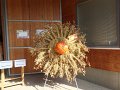 SAM_4439