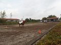 SAM_4507