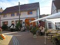 IMG_1187