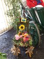 SAM_5937