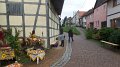 SAM_6962