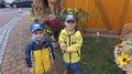 SAM_6976