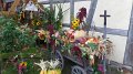 SAM_6978