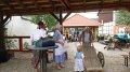 SAM_7391