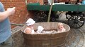SAM_7404